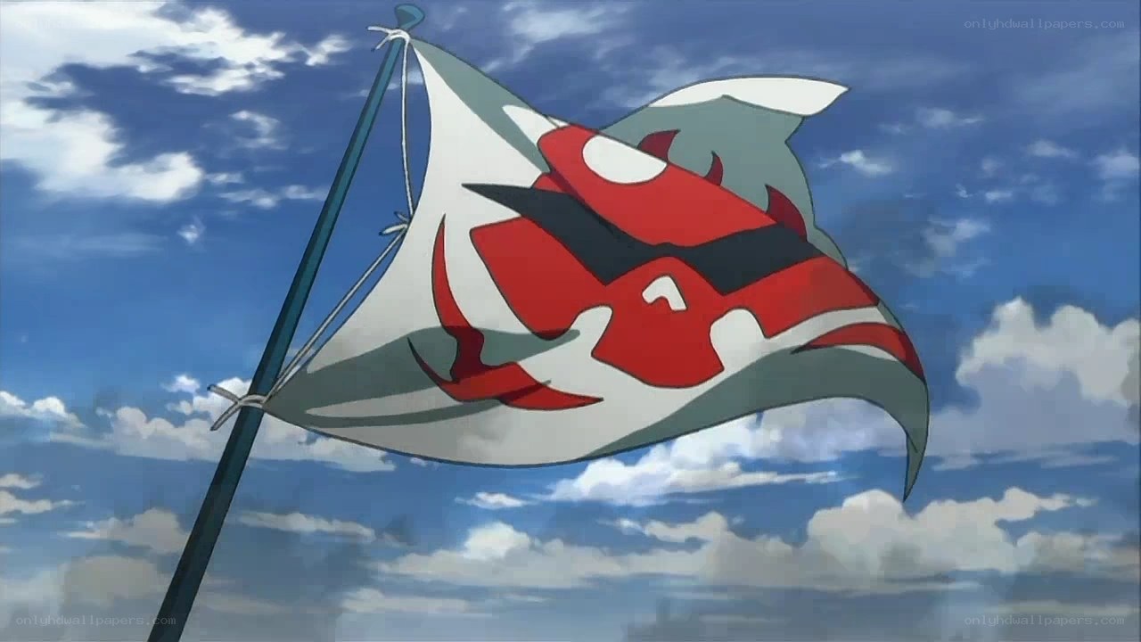 flag with red and white design