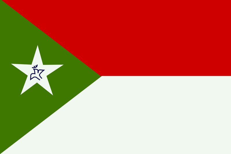 Flag with Star Emblem