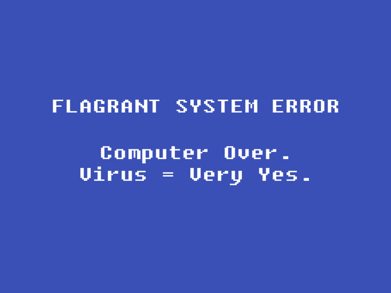 flagrant system error screen