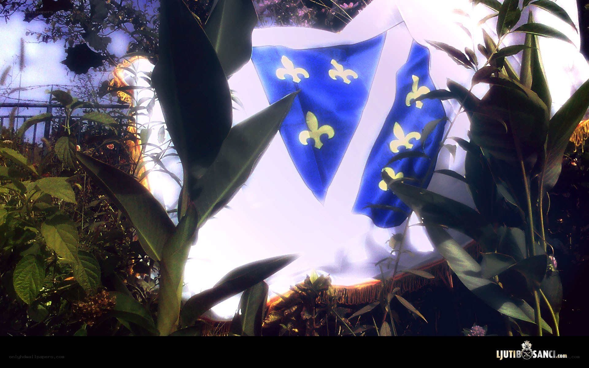Flags behind green plants