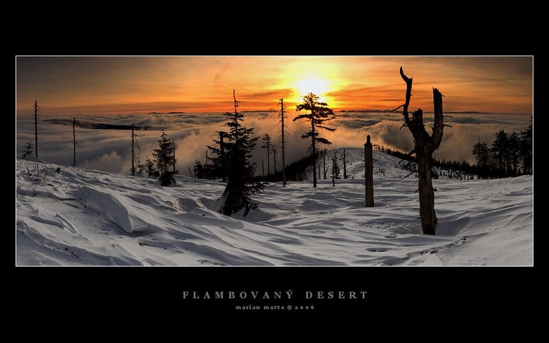 Flambovaný Desert