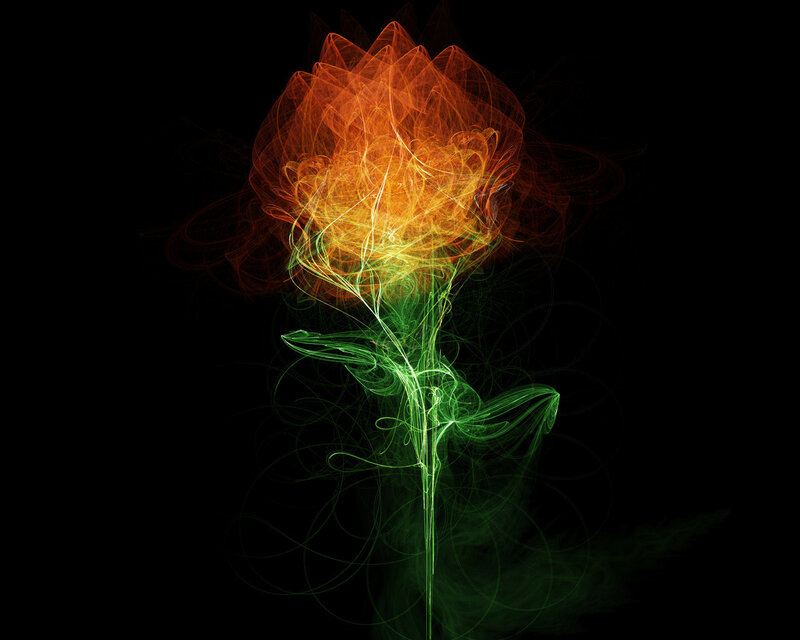 Flame and green light flower