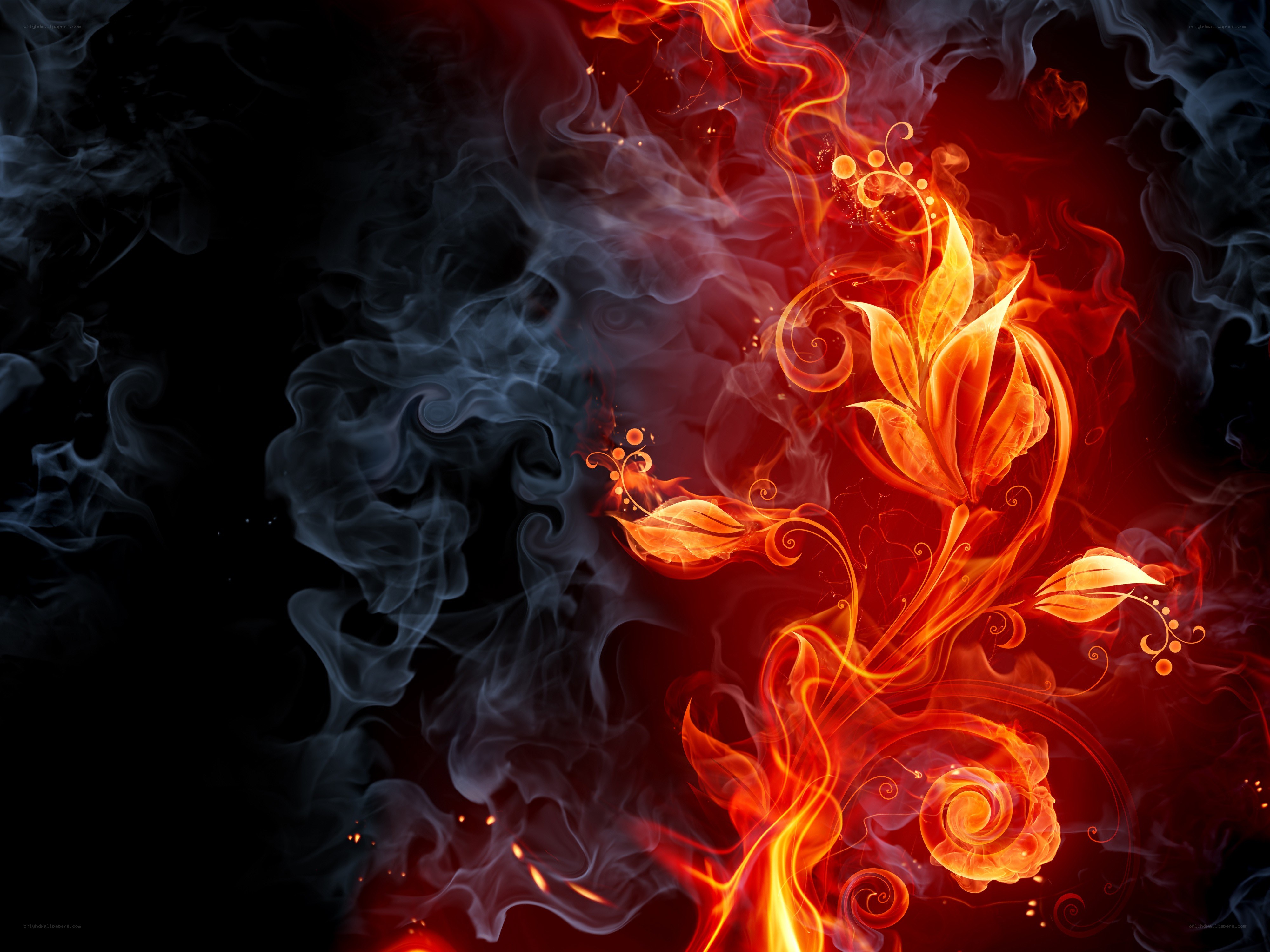 Flame and smoke floral design