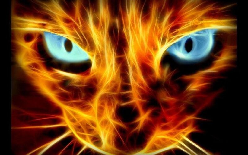 Flame Cat Face — Orange, Dramatic, Digital Art