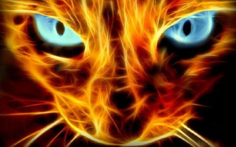 Flame Cat Face — Orange, Dramatic