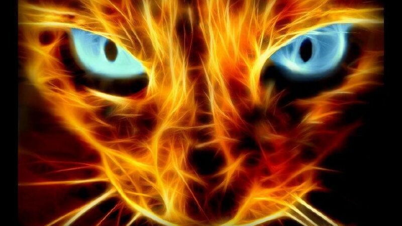 Flame Cat Face — Orange