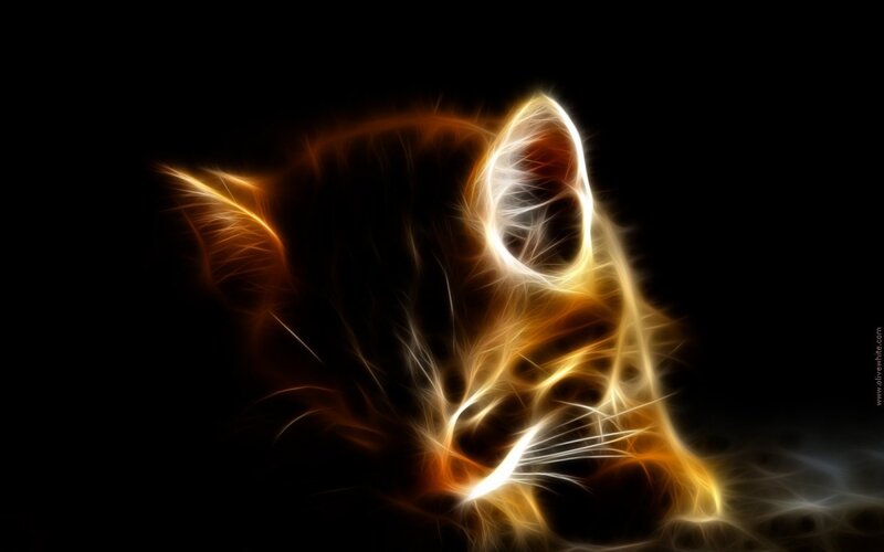 Flame Cat Head
