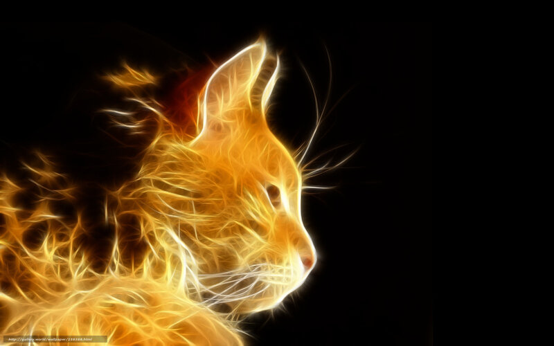 flame cat profile