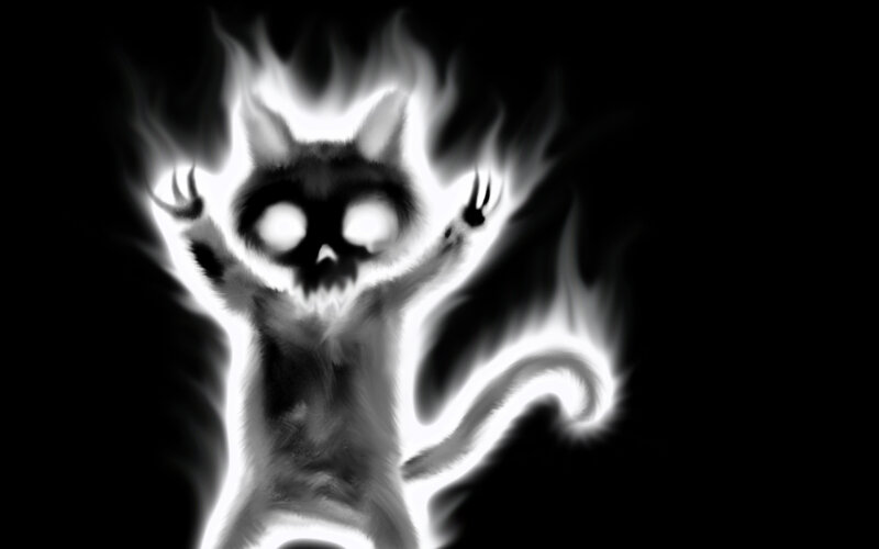 flame cat spirit