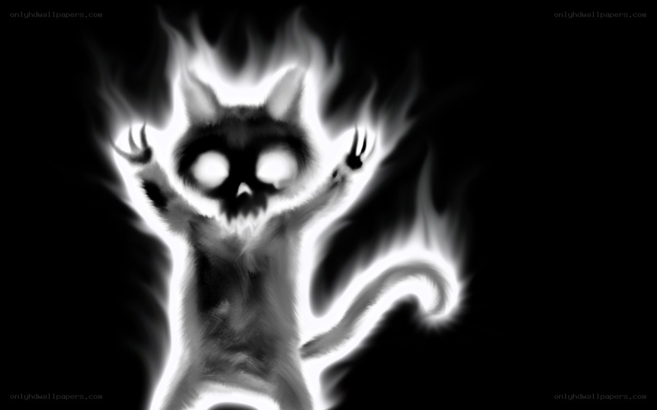flame cat spirit