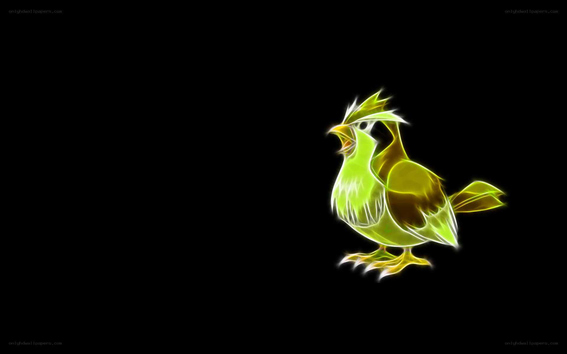 Flame-colored bird illustration