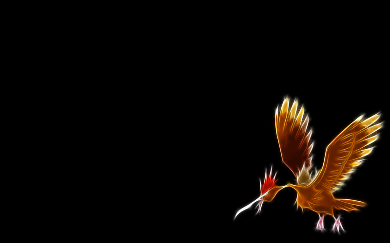 Flame-colored Bird in Flight — Black