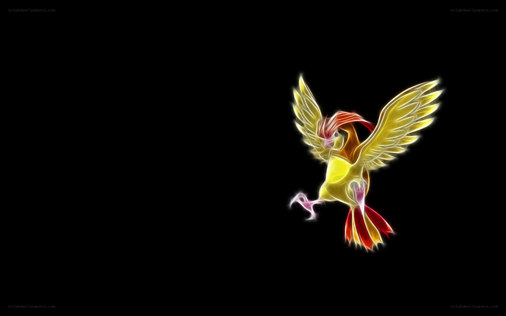 Flame-colored bird in flight