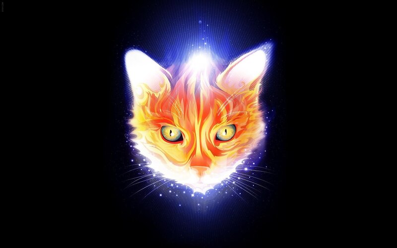 Flame-colored Cat Head