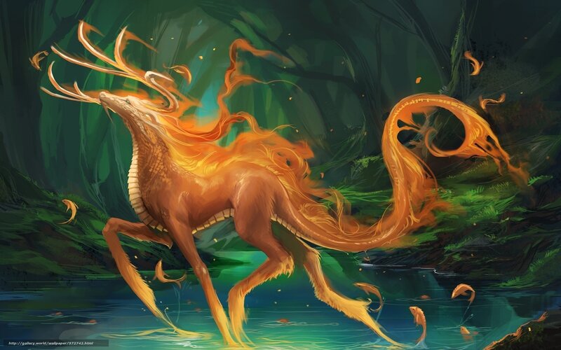 flame deer in forest stream