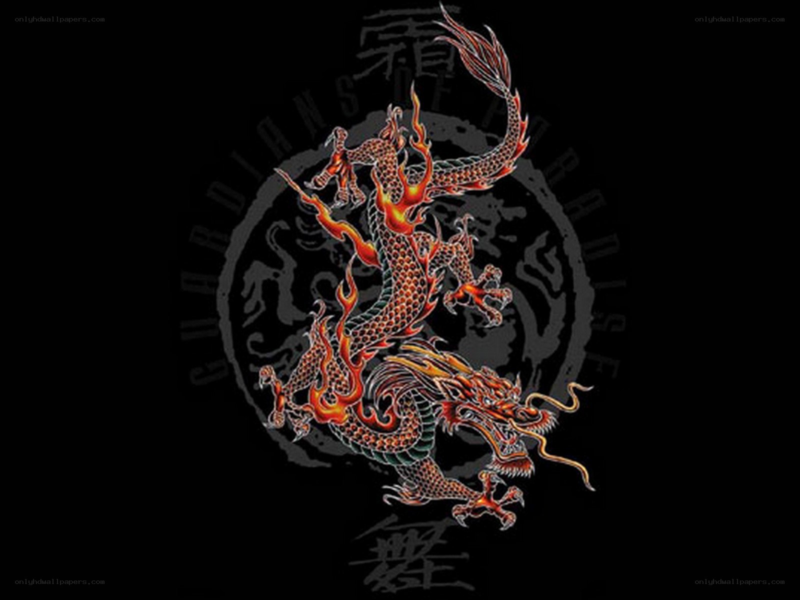 flame dragon artwork