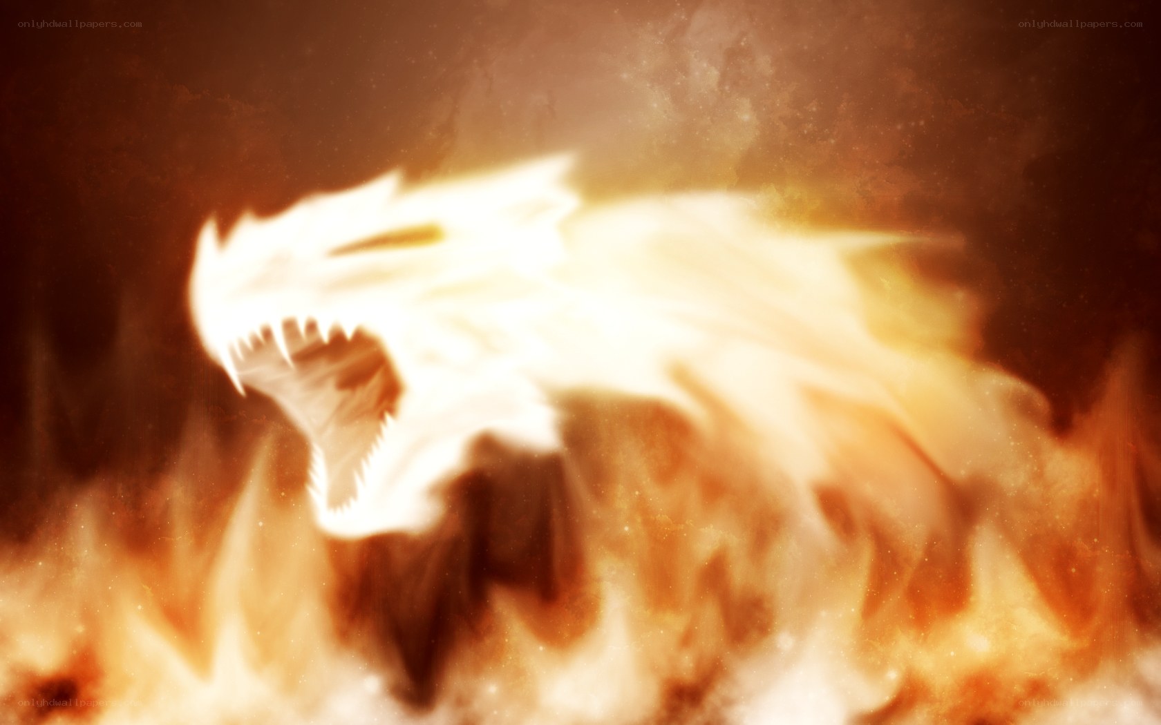 flame dragon in fire