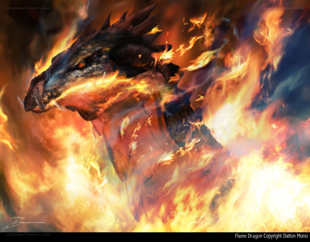 Flame Dragon in Fire