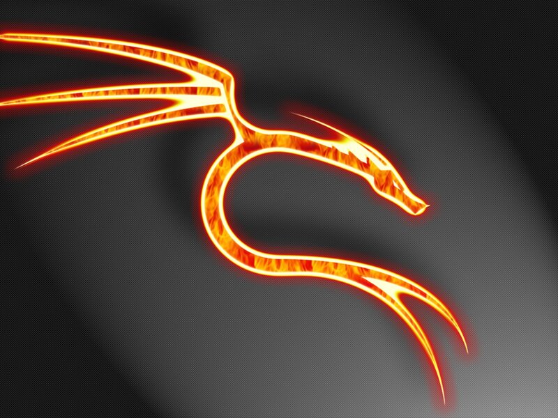 flame dragon logo
