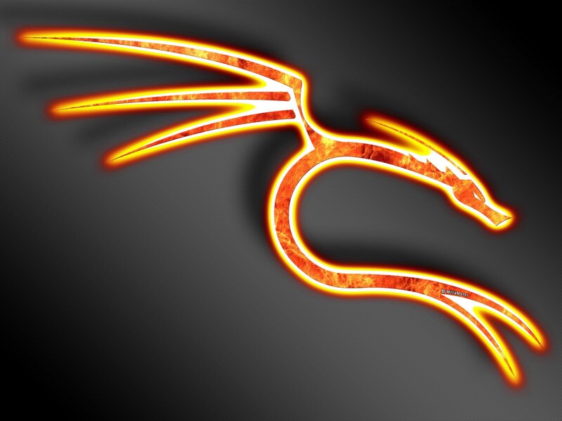 Flame Dragon Logo — Orange, Dramatic