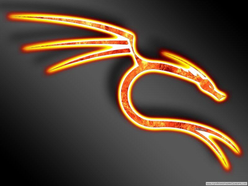 Flame Dragon Logo — Orange