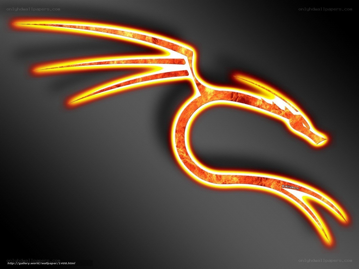 flame dragon logo