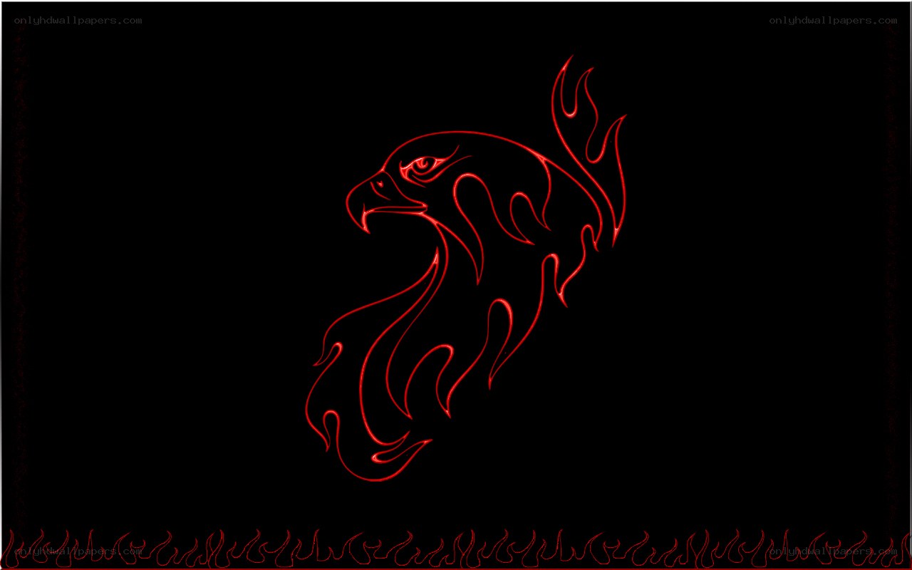 flame eagle design