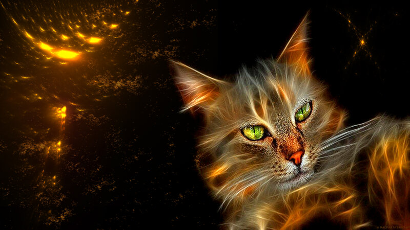 Flame-effect Cat — Black, Dramatic