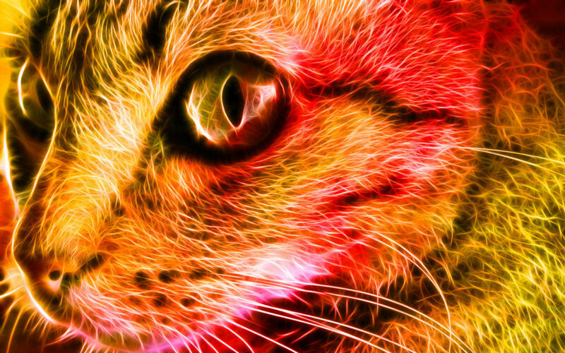 Flame-effect Cat Face