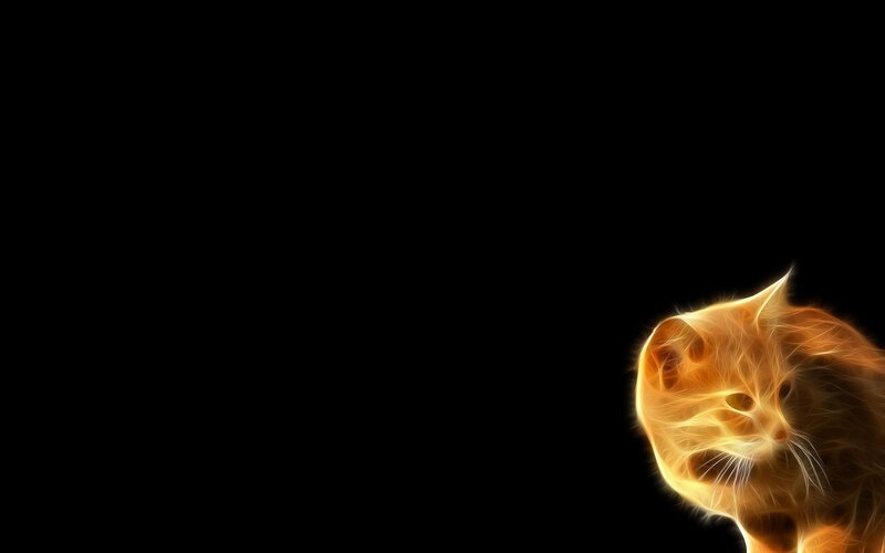 Flame-effect Cat — Orange, Dramatic, Digital Art