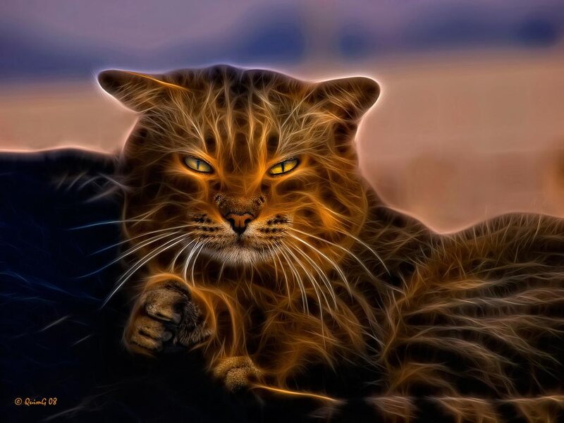 Flame-effect Cat — Orange, Dramatic, Sunset