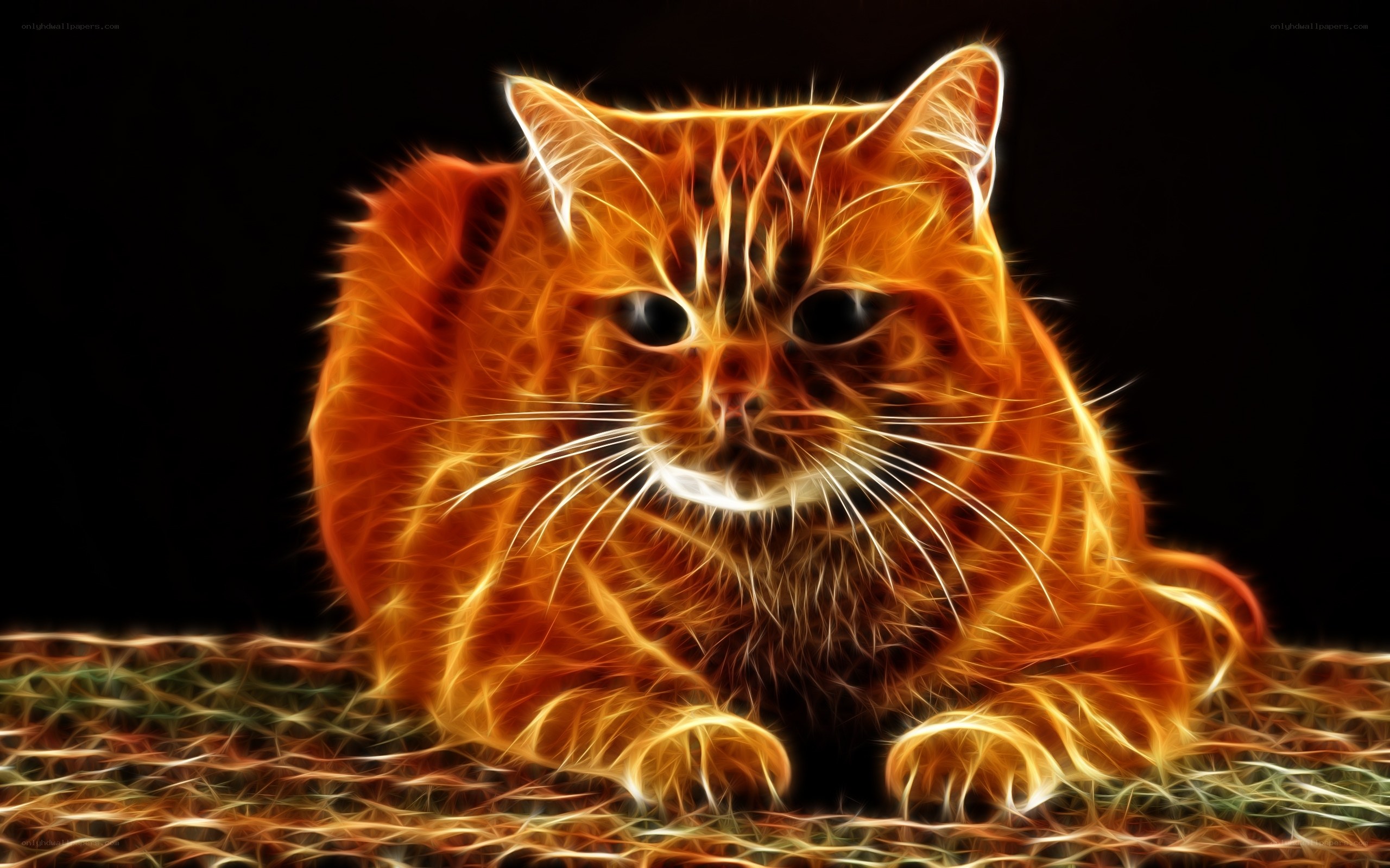 flame effect cat portrait