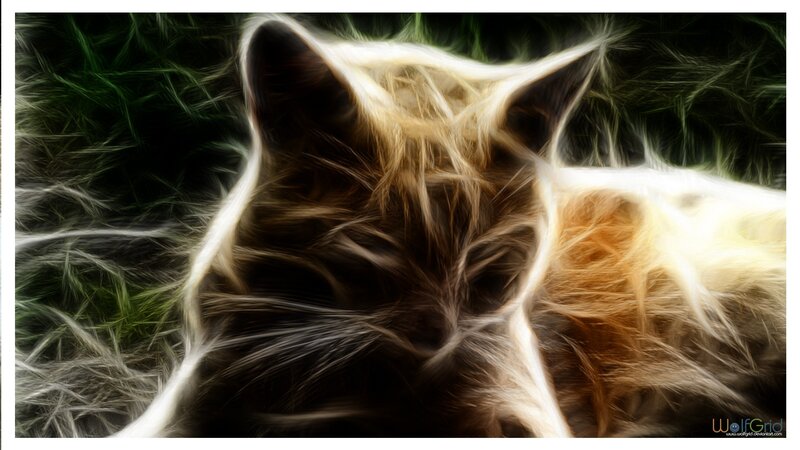 Flame-effect Cat — White