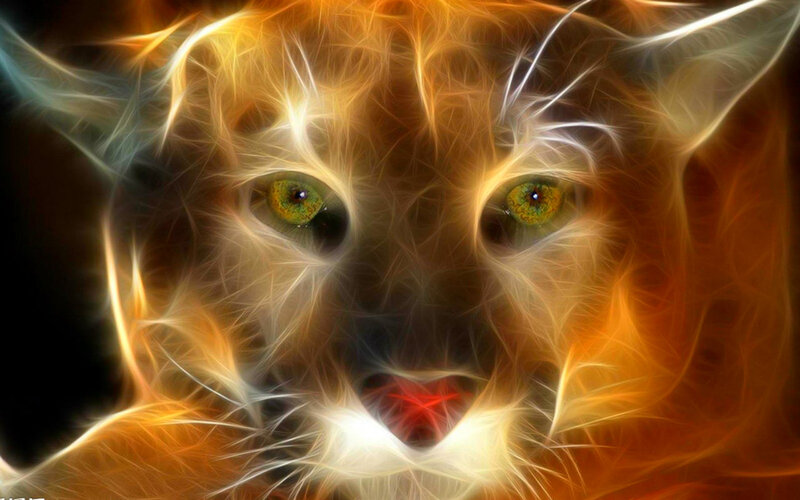 Flame-effect Cougar Face — Orange