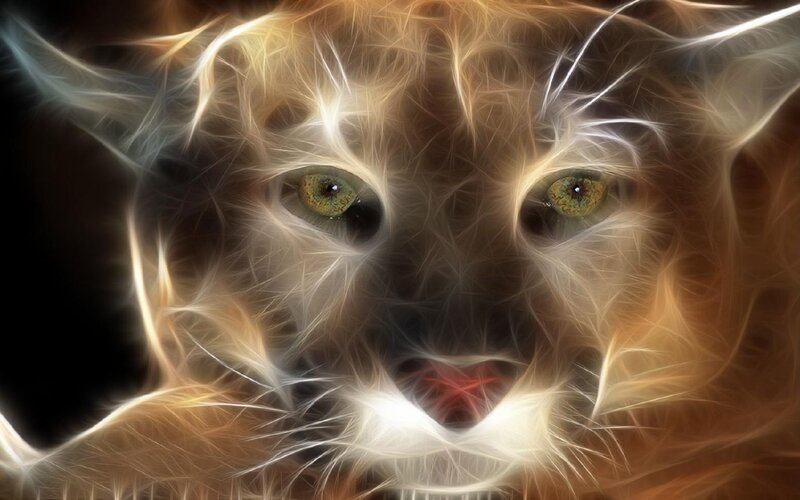 Flame-effect Cougar Face