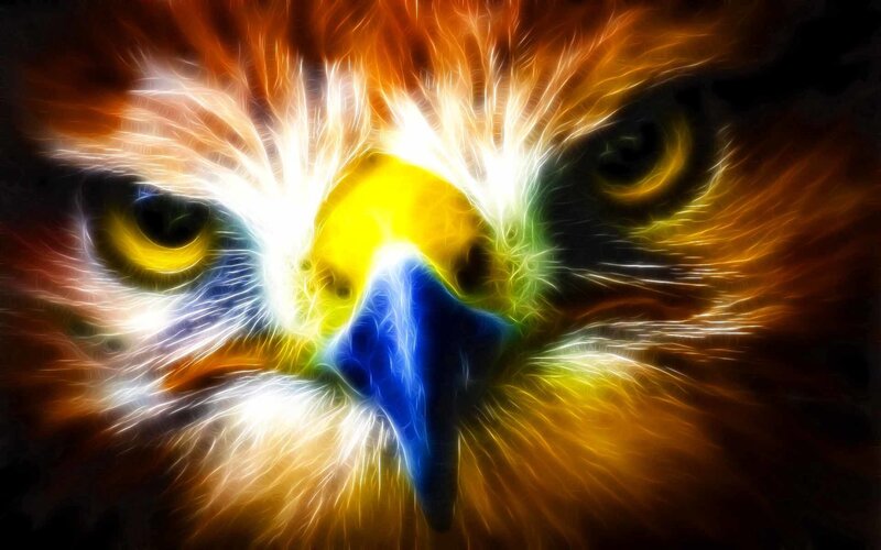 Flame Effect Eagle Face