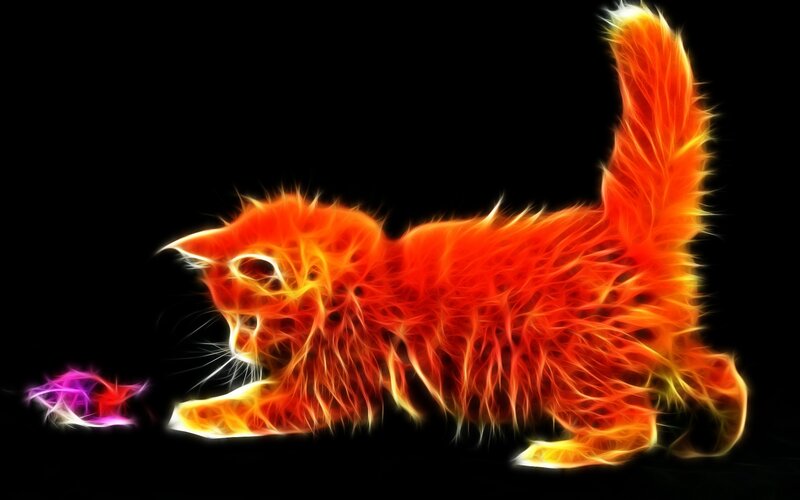 Flame-effect Kitten — Red, Dramatic