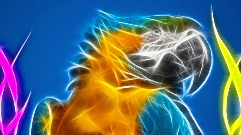 Flame-effect Parrot — Blue