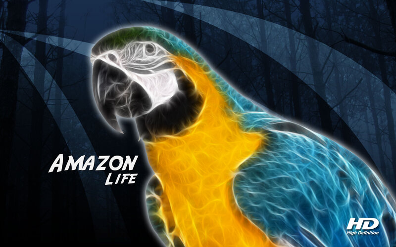 Flame-effect Parrot