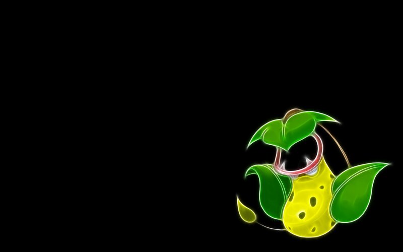 Flame effect Venusaur