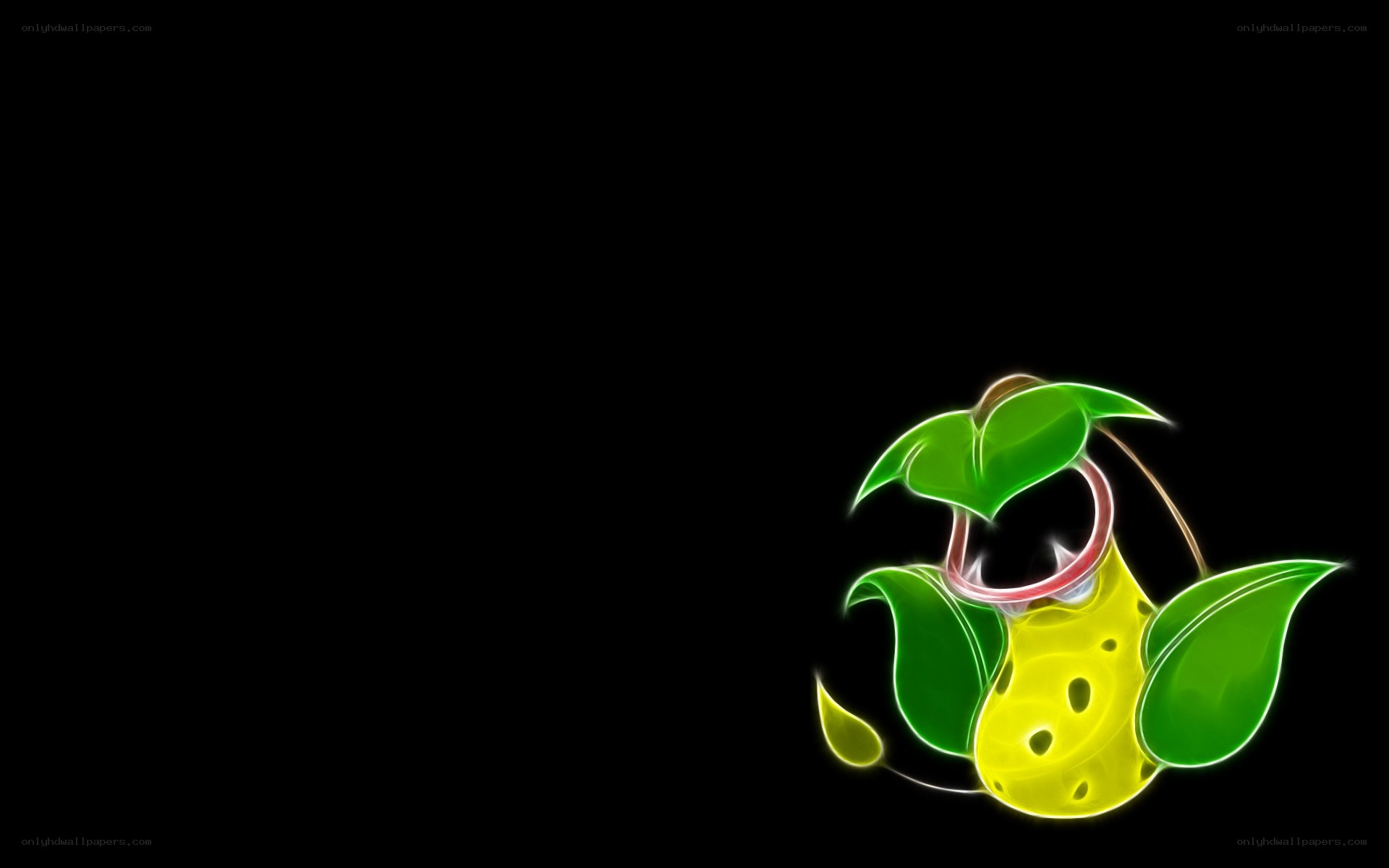 Flame effect Venusaur