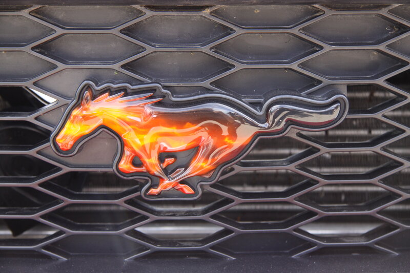 Flame-embossed Pony Emblem