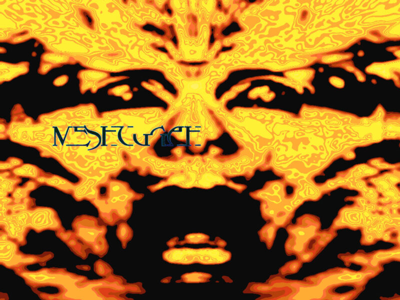 flame face logo