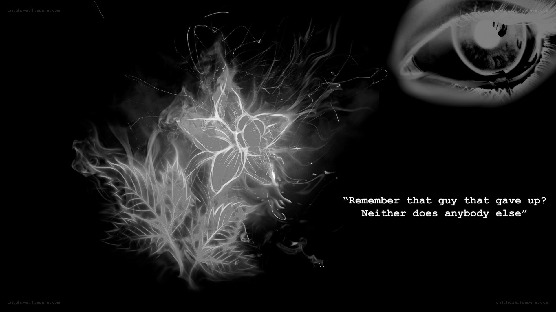 Flame flower and eye