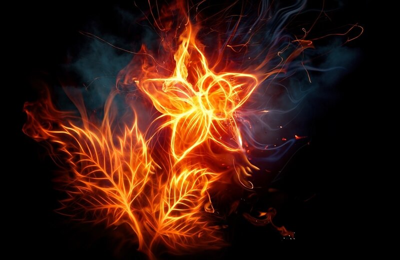 Flame Flower and Leaf — Orange