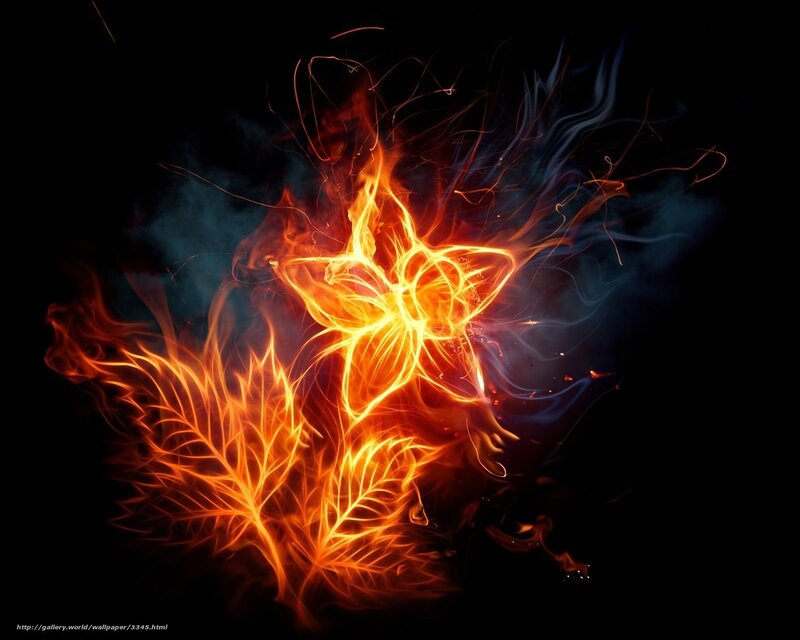 Flame flower and leaf