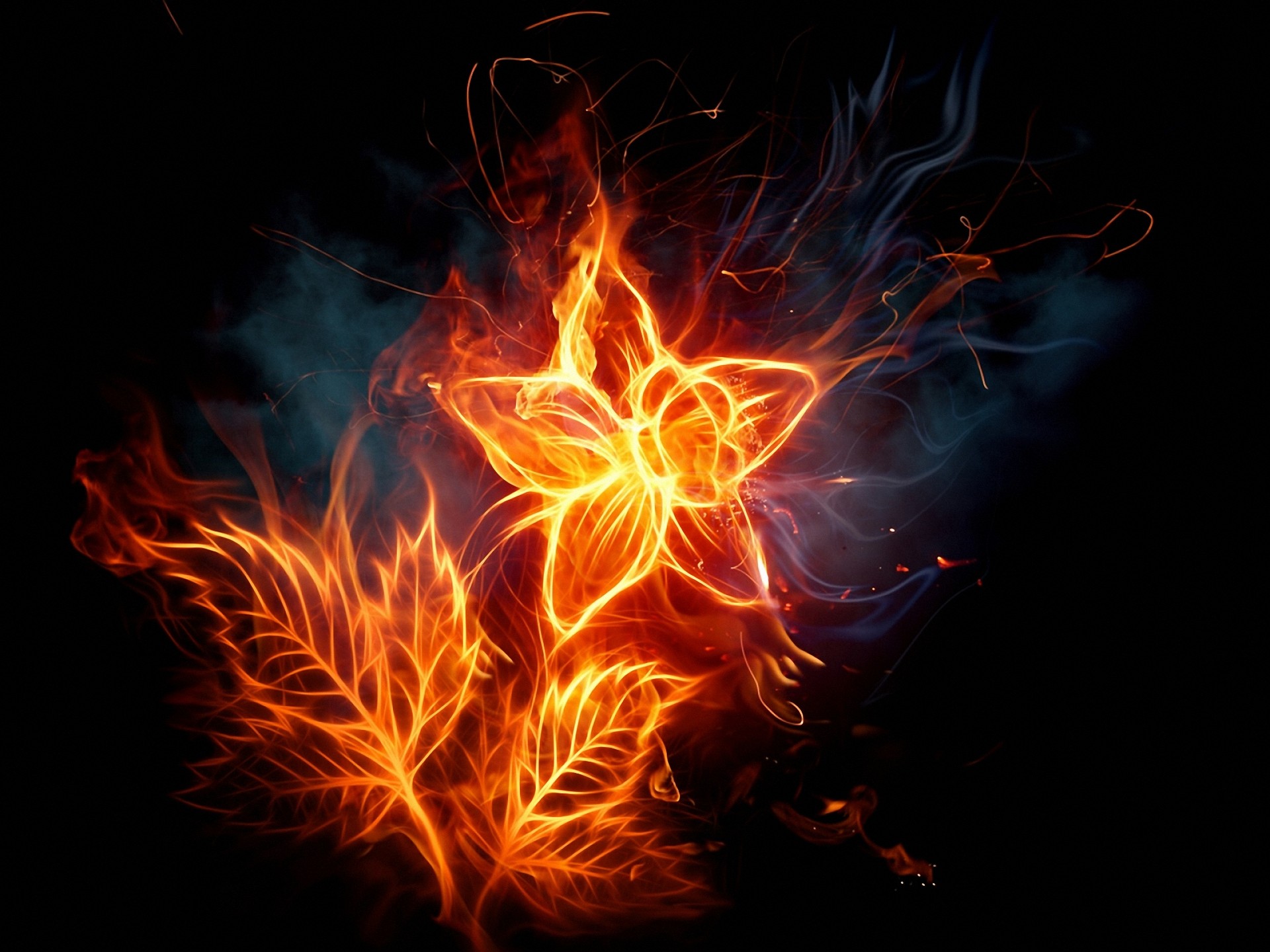 Flame flower and leaves