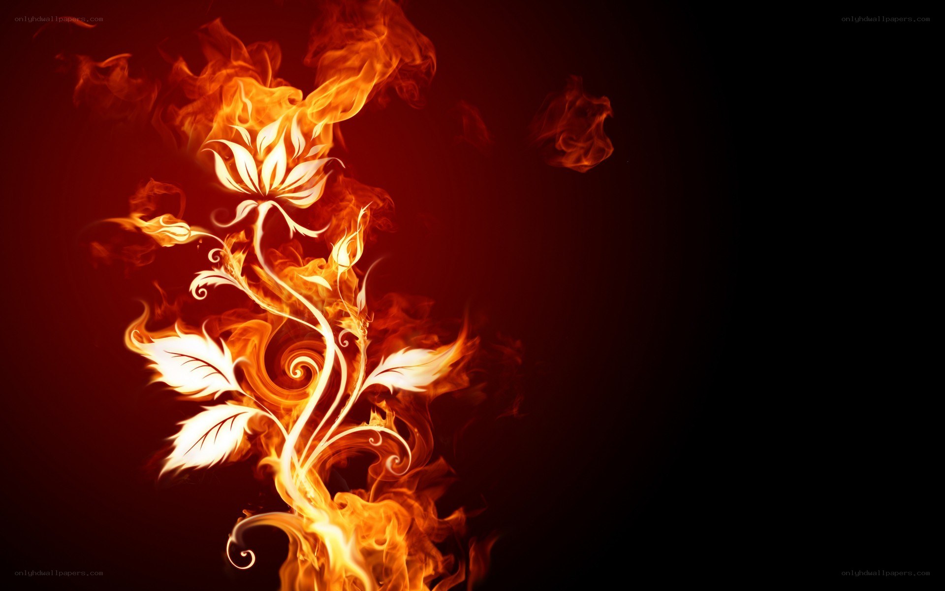 flame flower art