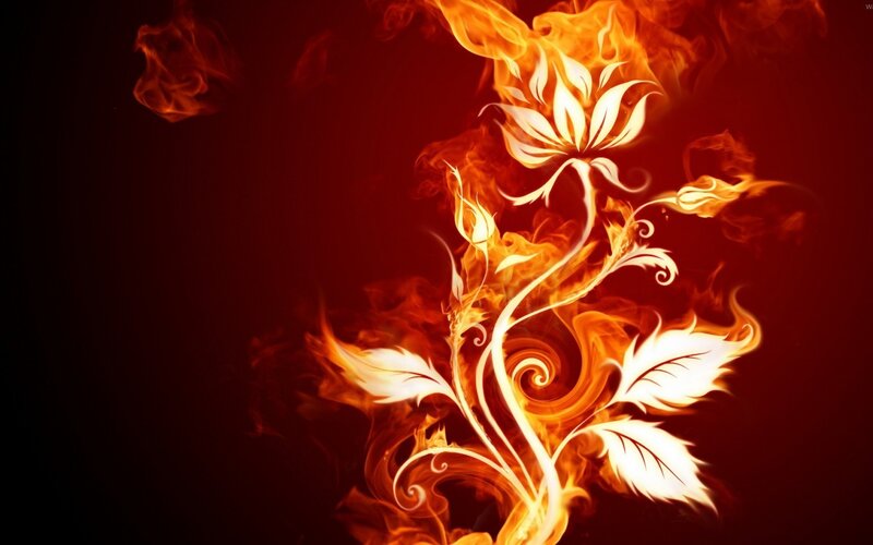 Flame flower art