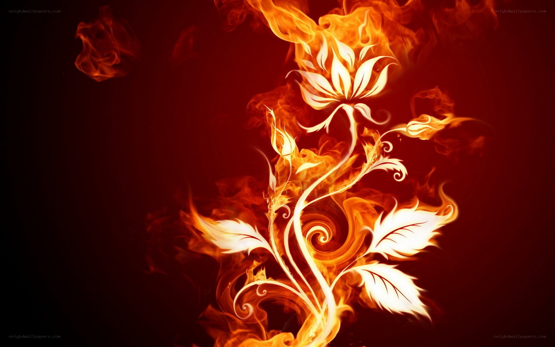 Flame flower art
